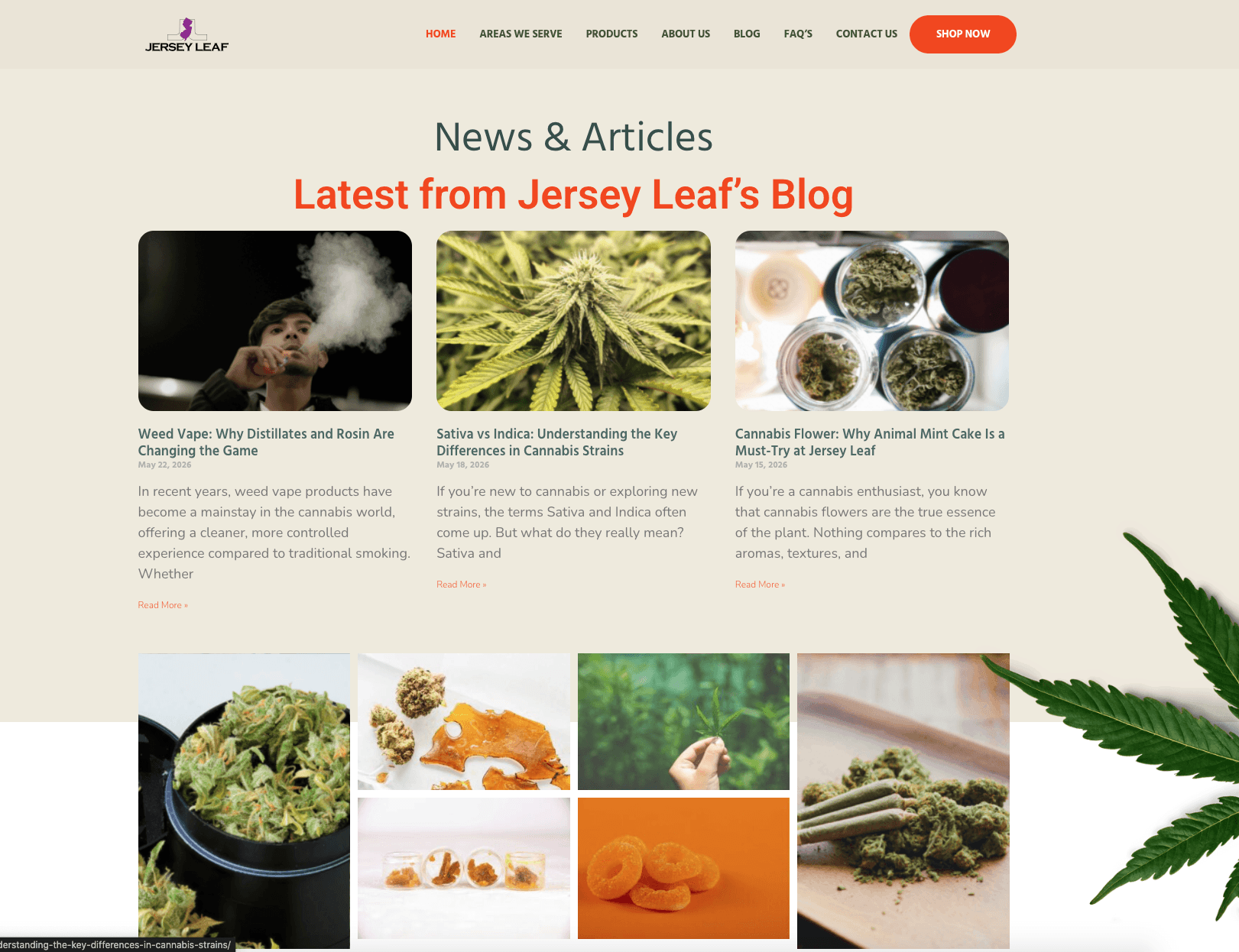 Jersey Leaf — screen 7